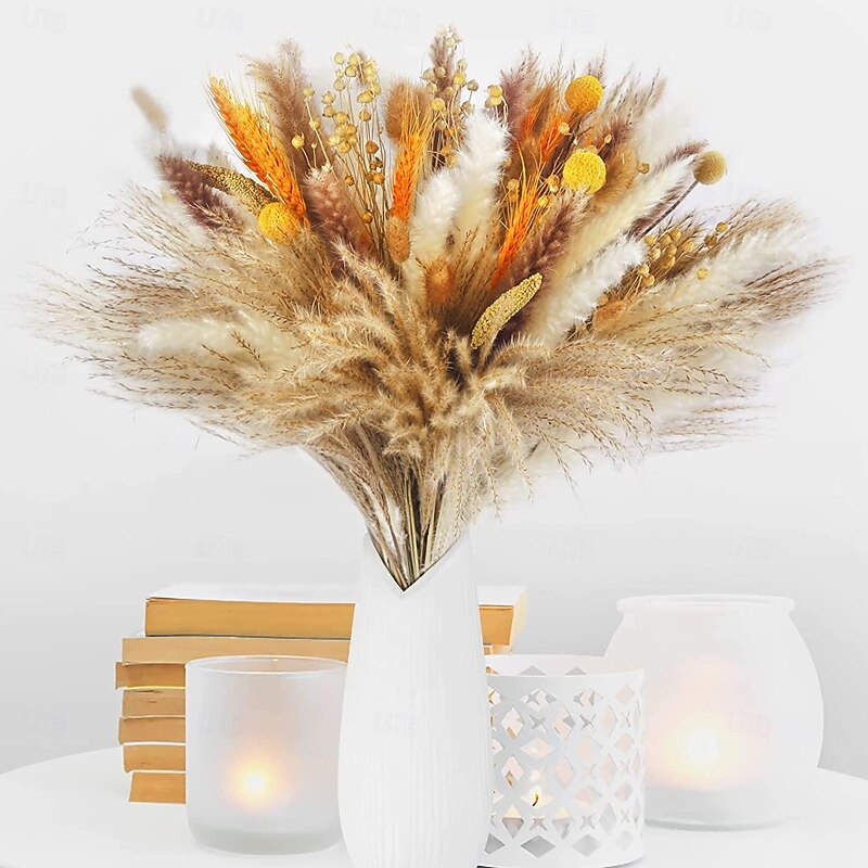 Pampas Grass Decor Set - Natural Dried Flowers for DIY Arrangements, Non-Toxic Home & Wedding Decor, Use without Power3