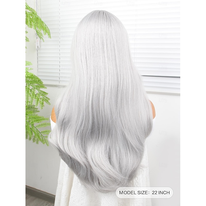 Synthetic Wig Deep Wave Middle Part Wig 24 inch Silver Synthetic Hair 24 inch Women's Dark Gray3