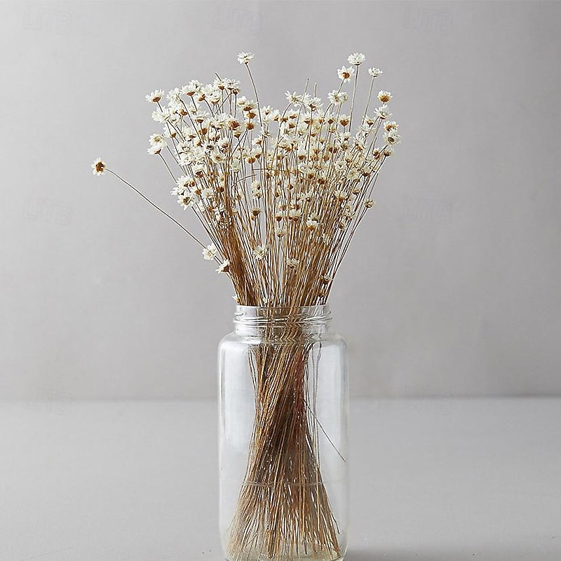 50 Stems Star Flower Blossom in White, Dried Flowers, Wedding Decor, Home Decor, Dried Flowers, Floral Arrangements, Wedding Flowers4