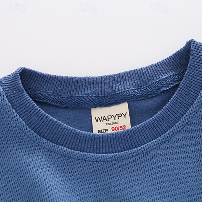 Boys 3D Letter Sports Suit Tracksuits Sweatshirt Set Long Sleeve Spring Fall Daily Casual Comfort Kids 4-7 Years Crew Neck Outdoor Vacation Sports Tailored Fit4