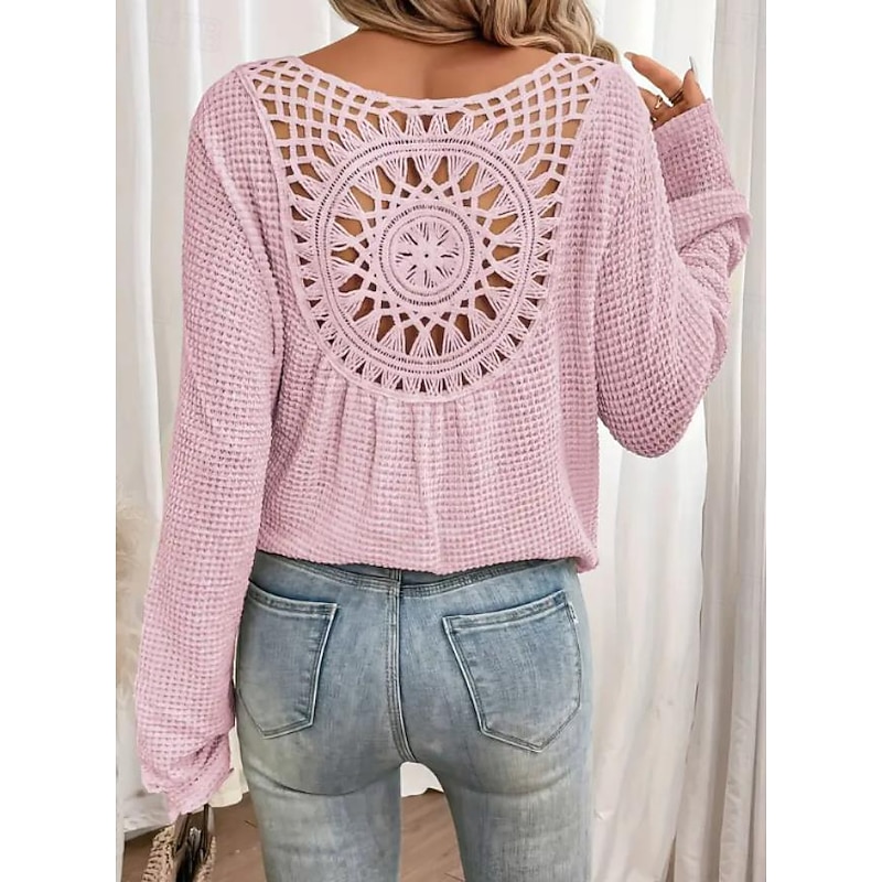 Women's White Elegant Lace Tops Eyelet Blouse Stylish Casual Solid Color Eyelet Long Sleeve Crew Neck Daily Romantic Petite Tops Summer Holiday Wear Grass Green Pink Blue Beige Summer Spring Fall3