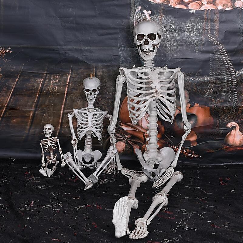 Posable Halloween Skeleton- Full Body Halloween Skeleton with Movable Joints for Haunted House Props Decorations (1pc)