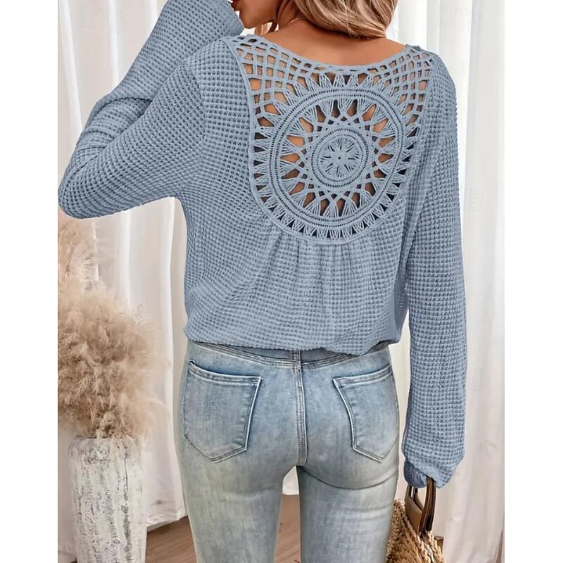 Women's White Elegant Lace Tops Eyelet Blouse Stylish Casual Solid Color Eyelet Long Sleeve Crew Neck Daily Romantic Petite Tops Summer Holiday Wear Grass Green Pink Blue Beige Summer Spring Fall2