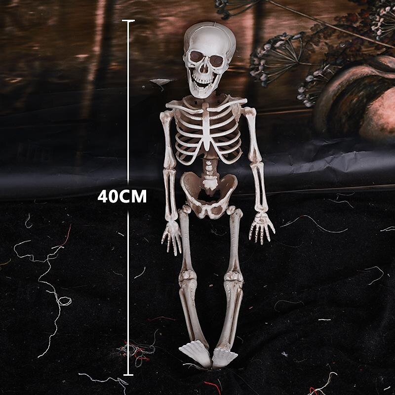 Posable Halloween Skeleton- Full Body Halloween Skeleton with Movable Joints for Haunted House Props Decorations (1pc)3