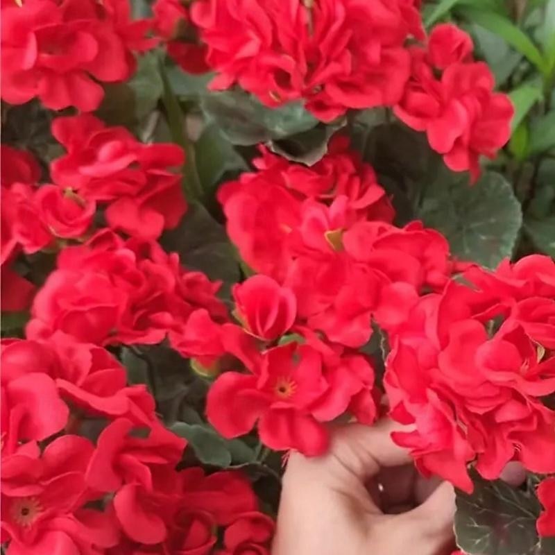 Artificial Red Geranium Silk Flowers Outdoor Plant Bush 2 Bundles Faux Flowers Geraniums for Outdoors Floral Home Decor Indoor Garden Patio Vase Grave Cemetary Table Centerpieces Decor4