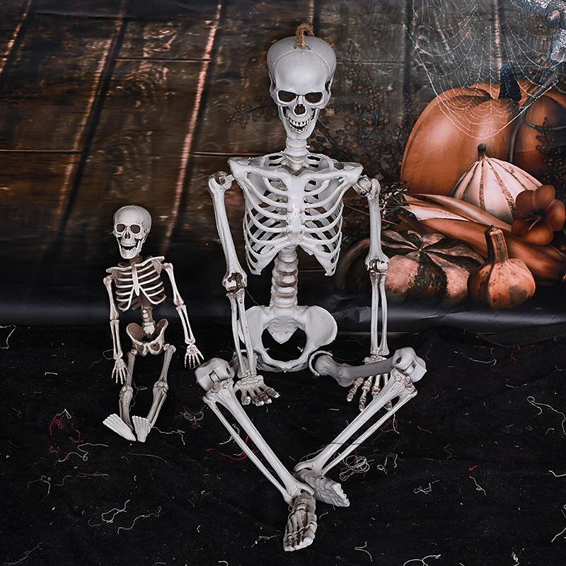 Posable Halloween Skeleton- Full Body Halloween Skeleton with Movable Joints for Haunted House Props Decorations (1pc)2
