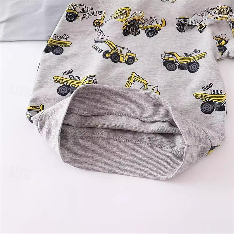 Boys 3D Cartoon Sweatshirt Long Sleeve Spring Fall Fashion Basic Little Kids(4-7ys) 4-7 Years Crew Neck Outdoor Casual Daily Regular Fit3