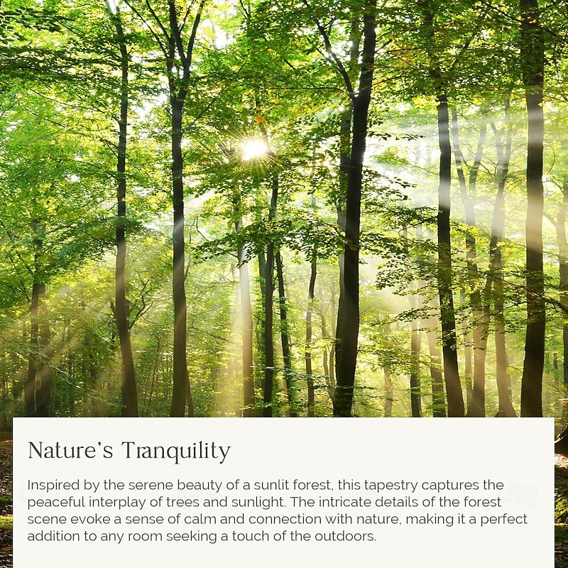 L.T.HOME Nature Wall Tapestry Art Decor Blanket Curtain Picnic Tablecloth Hanging Home Bedroom Living Room Dorm Decoration Forest Landscape Sunshine Through Tree4