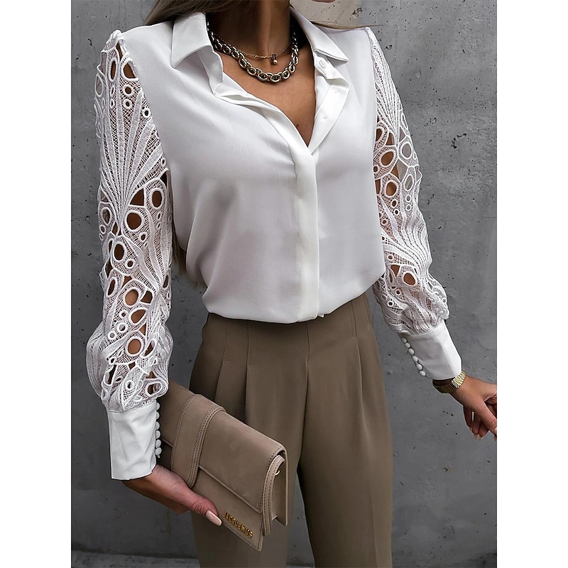 Women's Blouse Lace Eyelet Work Stylish Modern Long Sleeve Black Summer Spring