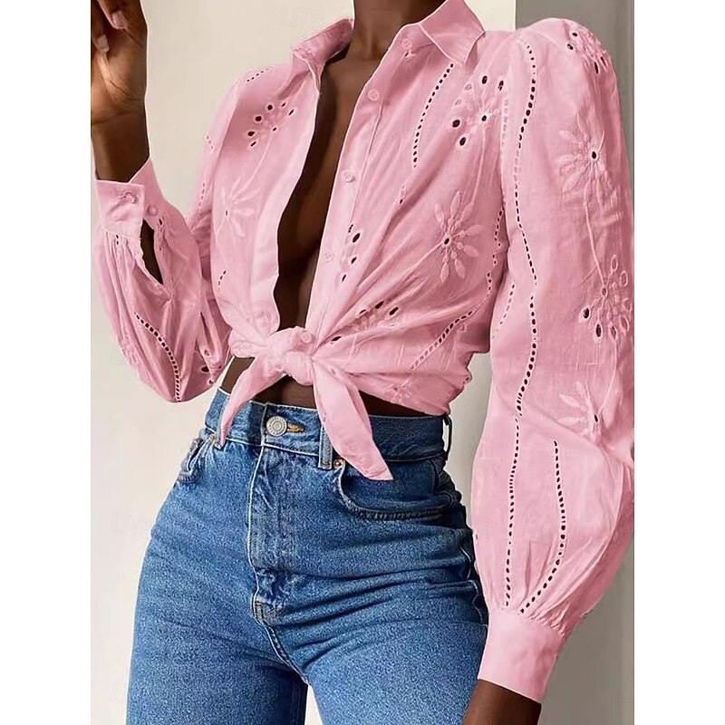 Women's White Elegant Lace Tops Eyelet Blouse Casual Solid Color Lace Lantern Sleeve Long Sleeve Regular Tops Shirt Collar Daily Romantic Petite Tops Summer Holiday Wear White Pink Green Spring Fall4