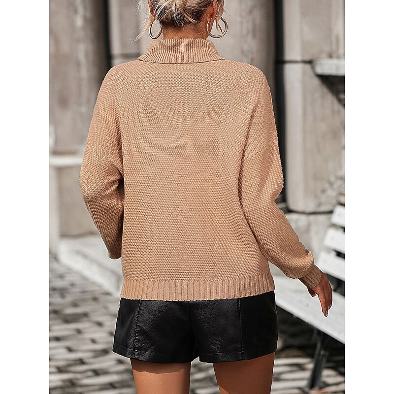 Women's Sweater Pullover Sweater Jumper Casual Sweater Casual Soft Solid Color Ribbed V Neck Tassel Knitted Long Sleeve Regular Tops Knit Outdoor Daily Weekend Blue Khaki Fall Winter2