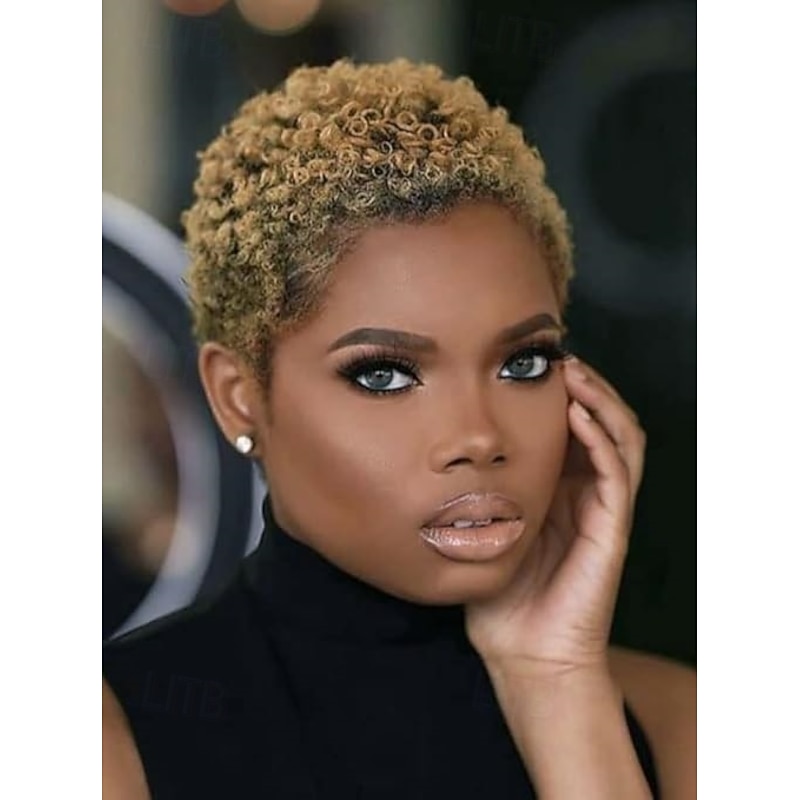 Short Curly Afro Wigs Short Kinky Curly Hair Synthetic Wigs For Black Women Natural Short Hair Wig Short Kinky Curly Afro Wigs For Women Heat Resistant Wigs