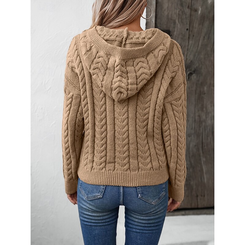 Women's Sweater Casual Solid Color Hooded Knitted Long Sleeve Regular Tops Knit Weekend Pink Khaki Fall Winter4