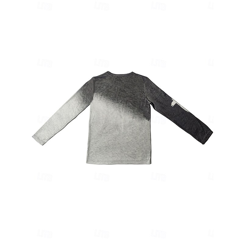 Women's T shirt Crew Neck Long Sleeve Tunic Casual Print Regular Tops Daily Pink Purple Gray Spring Fall2