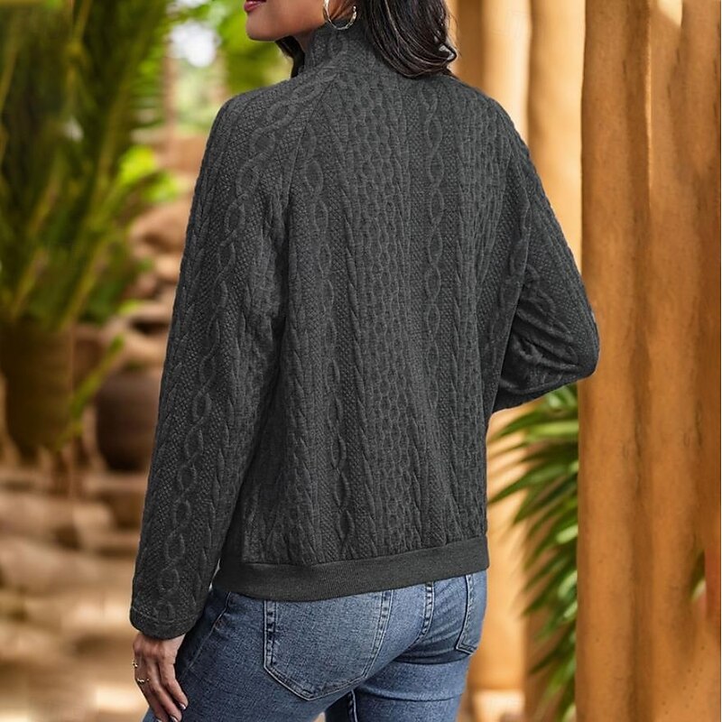 Women's Pullover Fashion Plain Work Dailywear Casual High Neck Buttons Loose Fit Long Sleeve Black Fall Winter2