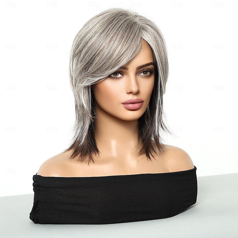 Synthetic Wig Uniforms Career Costumes Princess Straight kinky Straight Middle Part Layered Haircut Machine Made Wig 20 inch Silver grey Synthetic Hair Women's Cosplay Party Fashion Gray3