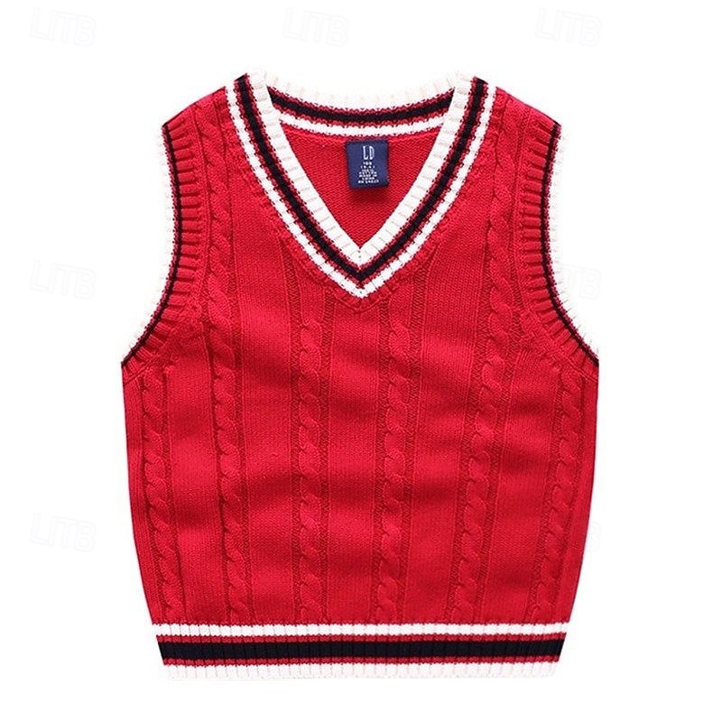 Kids Boys Sweater Color Block Sleeveless Patchwork School Daily White Fall Clothes 4 years+2