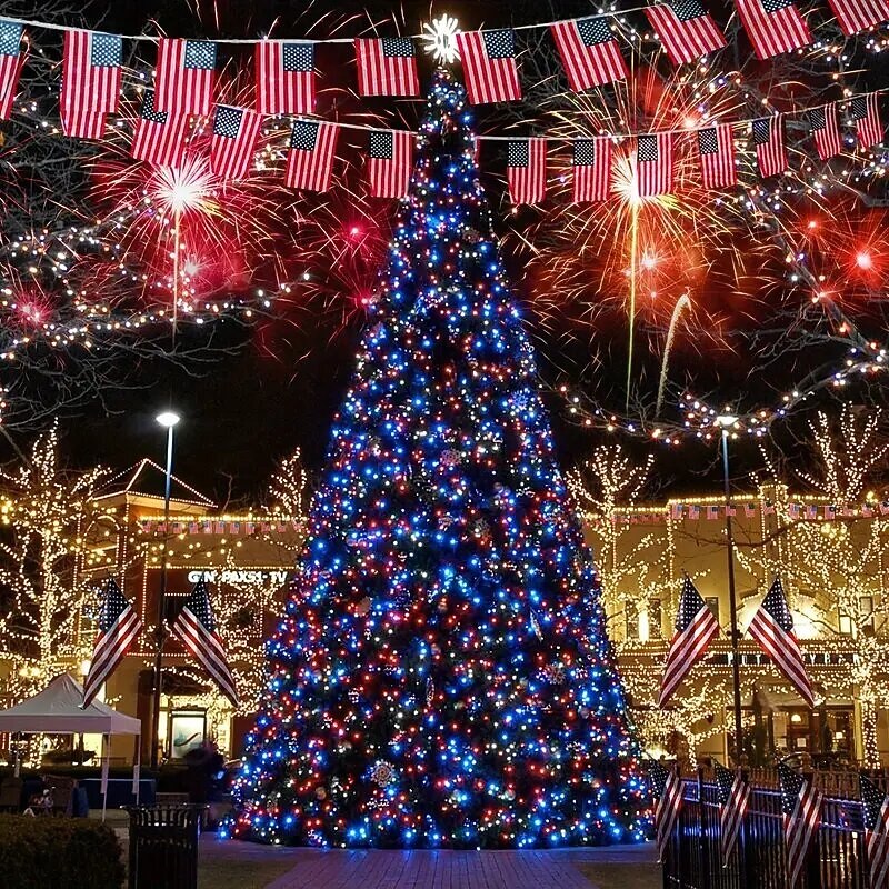 DC24V Safe Voltage LED Xmas String Lights 100M 50M 20M 10M with 800 LEDs and 400 LEDs, Fairy Strip Holiday Lights, IP65 Waterproof Outdoor Lighting for Christmas, Party, New Year Events, US/EU/AU/UK Plug