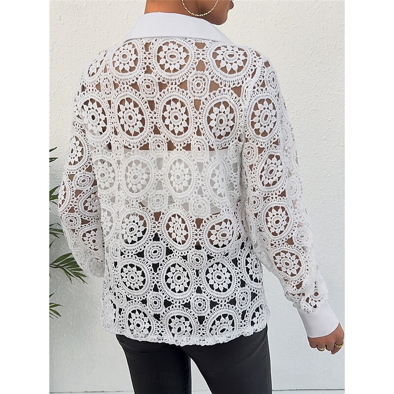Women's Shirt Blouse Basic Casual Lace Long Sleeve Regular Tops V Neck Daily Going out White Spring &  Fall3