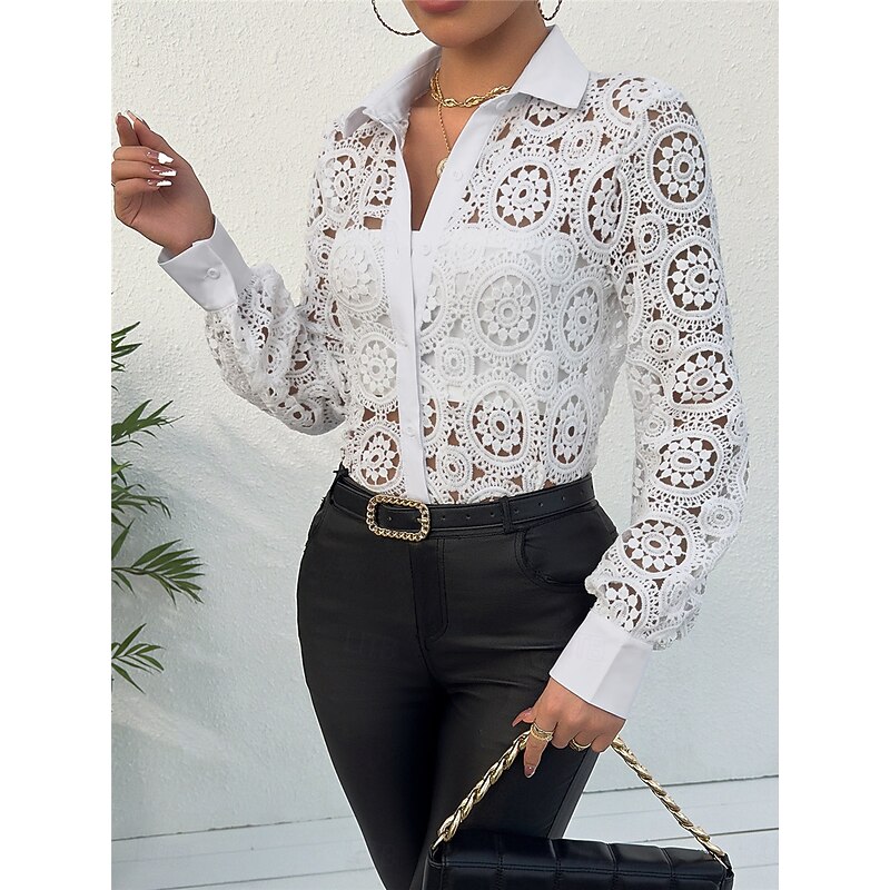 Women's Shirt Blouse Basic Casual Lace Long Sleeve Regular Tops V Neck Daily Going out White Spring &  Fall4