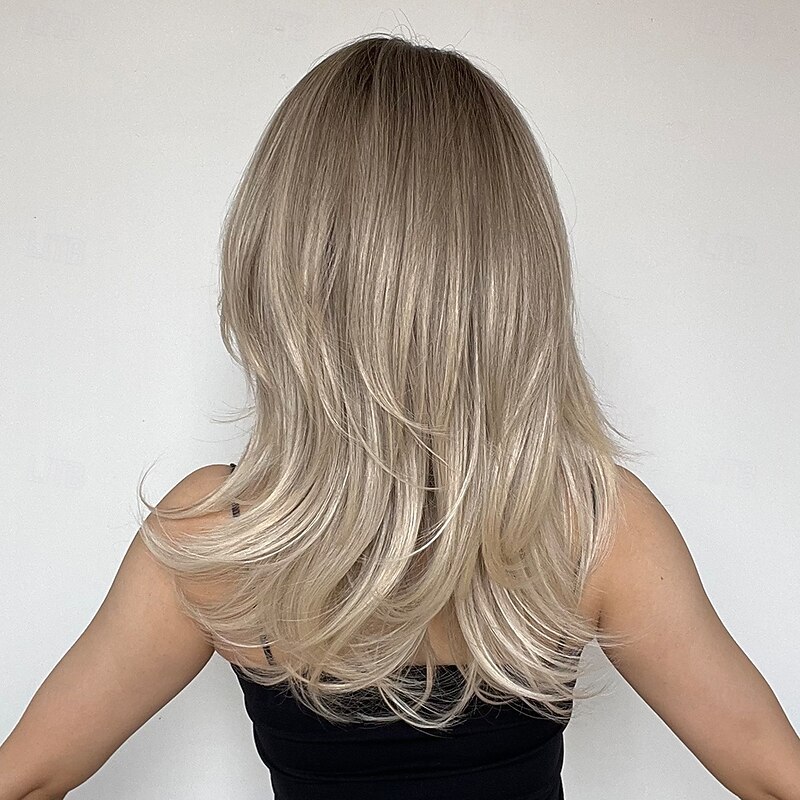 Synthetic Wig Uniforms Career Costumes Princess Straight kinky Straight Middle Part Layered Haircut With Bangs Machine Made Wig 22 inch Silver grey Synthetic Hair Women's Cosplay Party Fashion Gray2