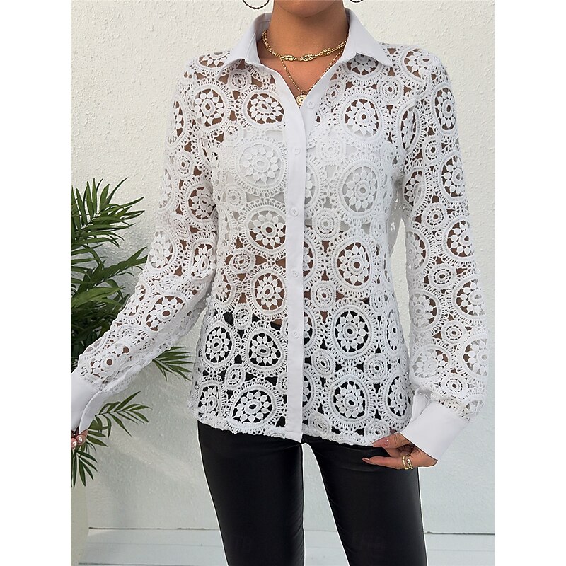 Women's Shirt Blouse Basic Casual Lace Long Sleeve Regular Tops V Neck Daily Going out White Spring &  Fall