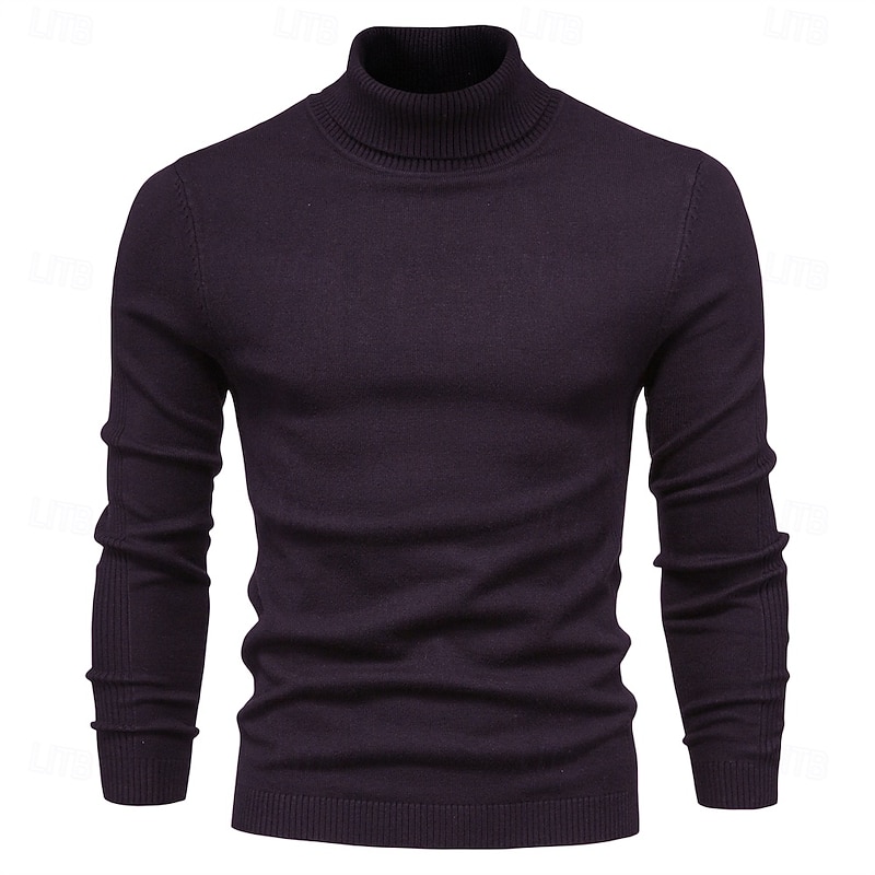 New Winter Turtleneck Thick Mens Sweaters Casual Turtle Neck Solid Color Quality Warm Slim Turtleneck Sweaters Pullover Men2