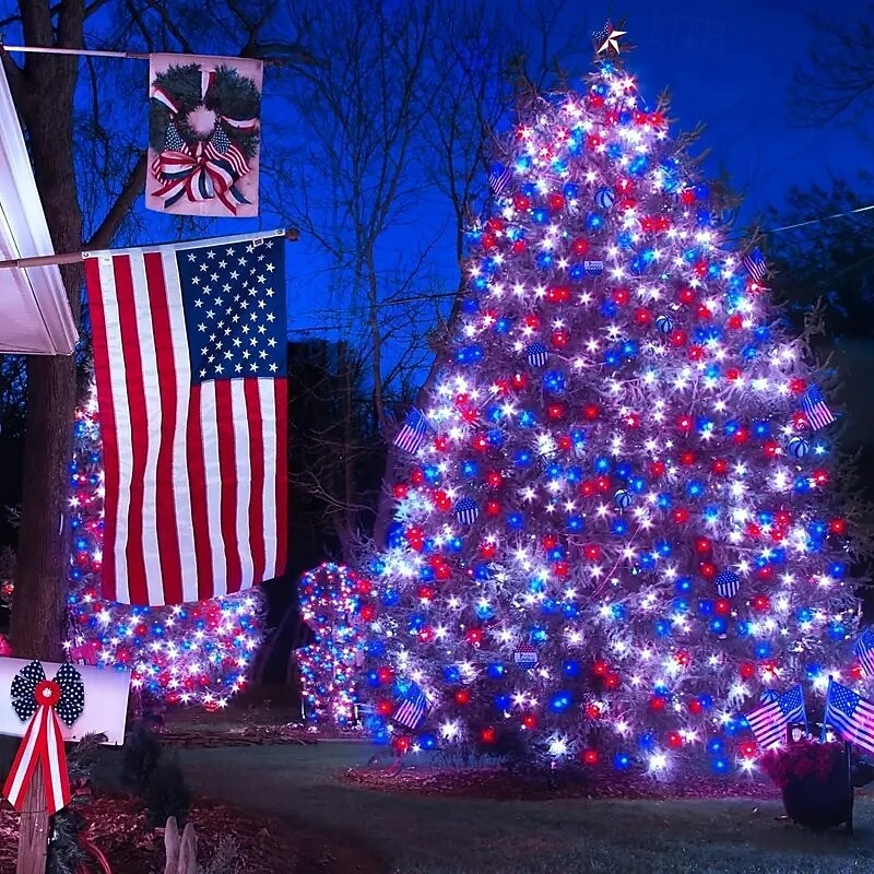 DC24V Safe Voltage LED Xmas String Lights 100M 50M 20M 10M with 800 LEDs and 400 LEDs, Fairy Strip Holiday Lights, IP65 Waterproof Outdoor Lighting for Christmas, Party, New Year Events, US/EU/AU/UK Plug2