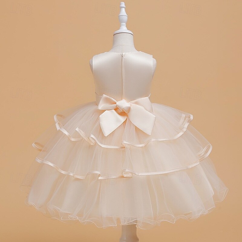 Kids Girls' Party Dress Graphic Flower Sleeveless Special Occasion Princess Polyester Party Dress Summer Spring 4 years+ Multicolor Champagne Pink3