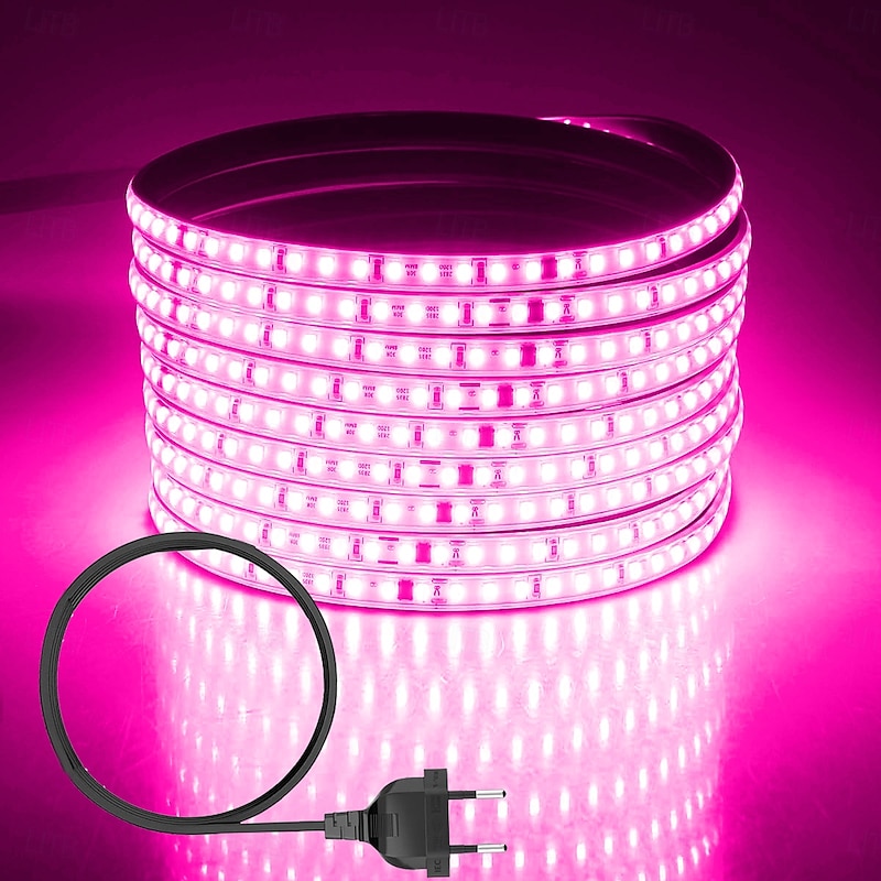 Outdoor Waterproof LED Light Strip Flexible Ribbon Rope Tape Light, 120 LEDs/M with EU, UK, AU Plug No Driver Needed, Multiple Colors Perfect for Indoor and Outdoor Use AC 220~240V 1pc for Halloween