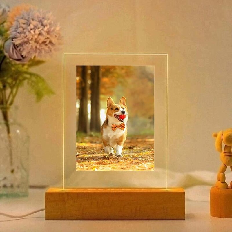 Personalized Pet Photo Lamp Custom Photo Acrylic Night Light USB Powered Warm white Add Your Image The Perfect  Ideal for Pet Lovers Memorials2