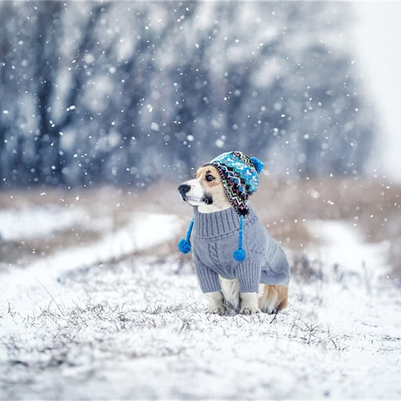 Dog Sweater Jumper Fashion Winter Warm Fashion Comfortable Outdoor Dailywear Homewear Dog Clothing for Small Medium3