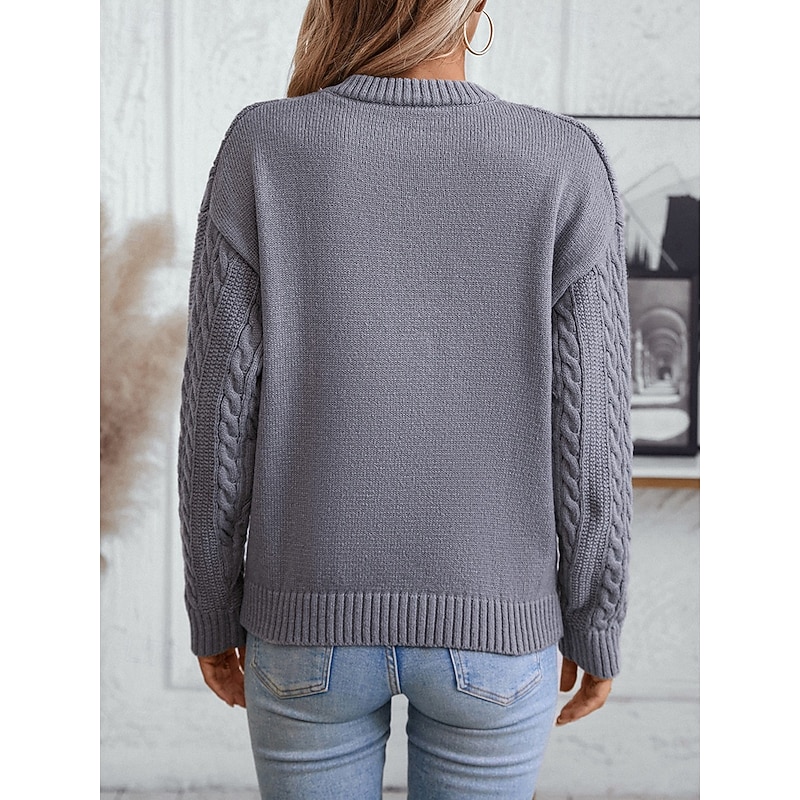 Women's Sweater Daily Work Basic Solid Color Cable Crew Neck Textured Long Sleeve Regular Tops Knit Weekend Black Beige Fall Winter3