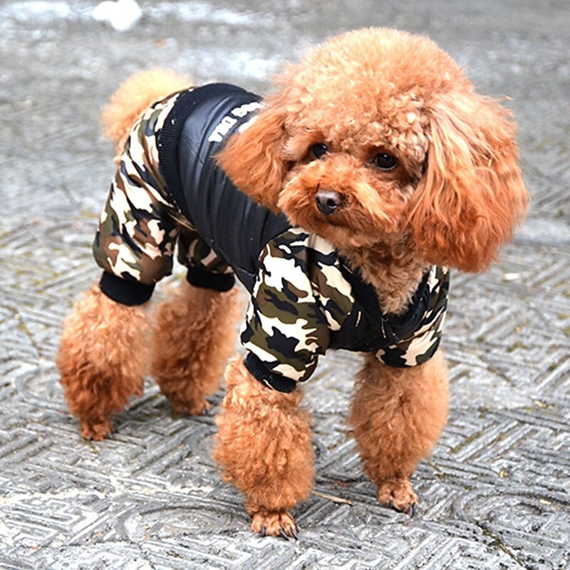 Dog Coat Jacket Puffer / Down Jacket Fashion Winter Warm Fashion Comfortable Outdoor Dailywear Homewear Dog Clothing for Small Medium Large4