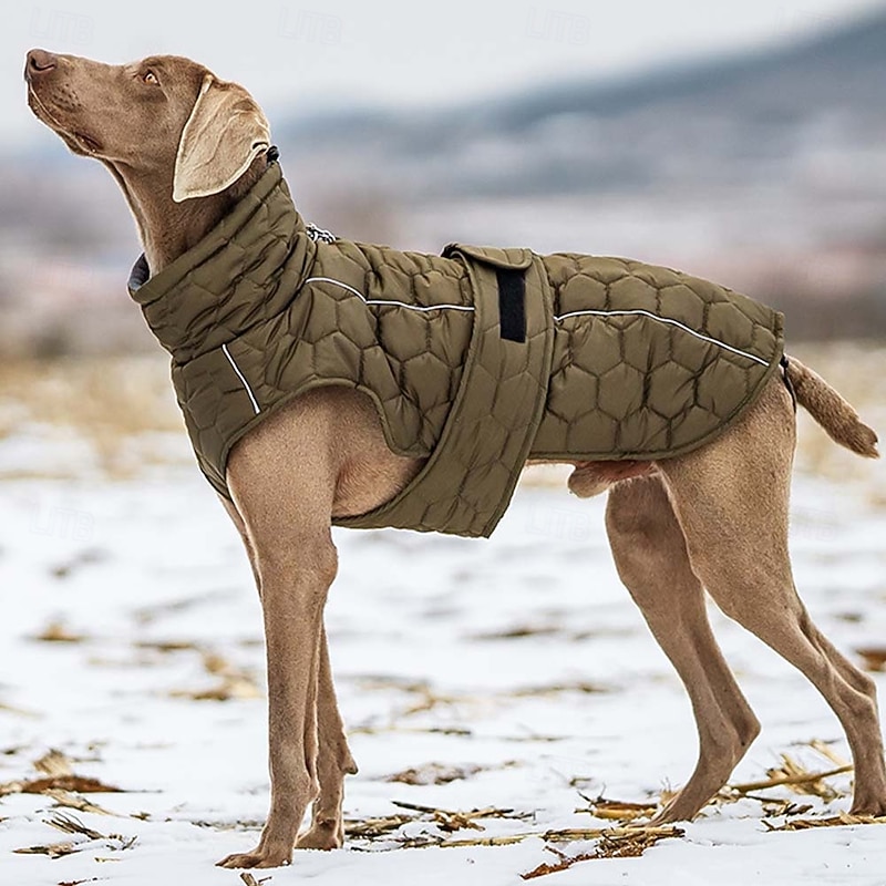 Dog Coat Jacket Fleece Vest Reflective Waterproof Warm Outdoor Dog Clothing for Greyhound Medium Large