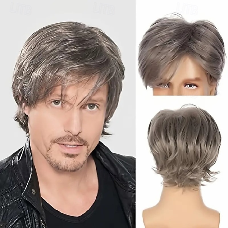 Men Wigs Short Gray Wig Synthetic Heat Resistant Natural Cosplay Hair Wig2