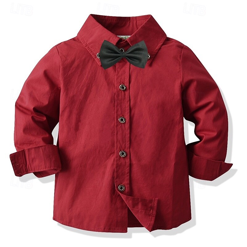 Kids Boys Shirts Solid Color Long Sleeve Patchwork Outdoor Fashion Light Green Spring &  Fall Clothes 3-7 Years