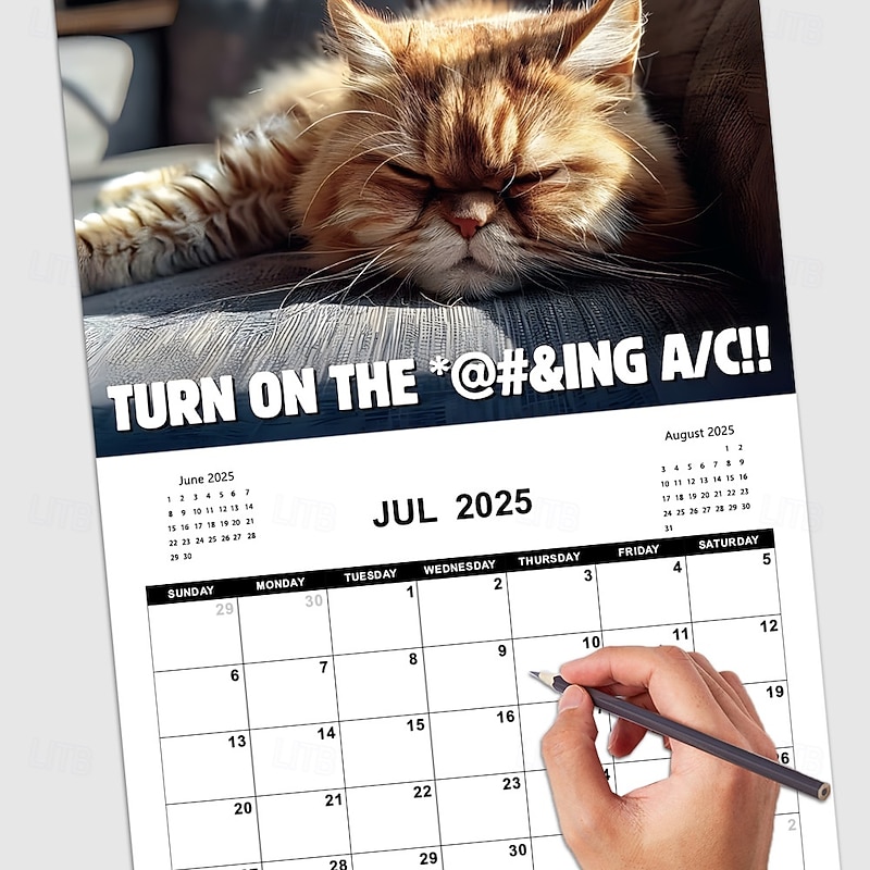 2025 Peed-Off Cats Calendar 2025 Calendar with Holidays Funny Cat Themed Gifts for Cat Lovers2