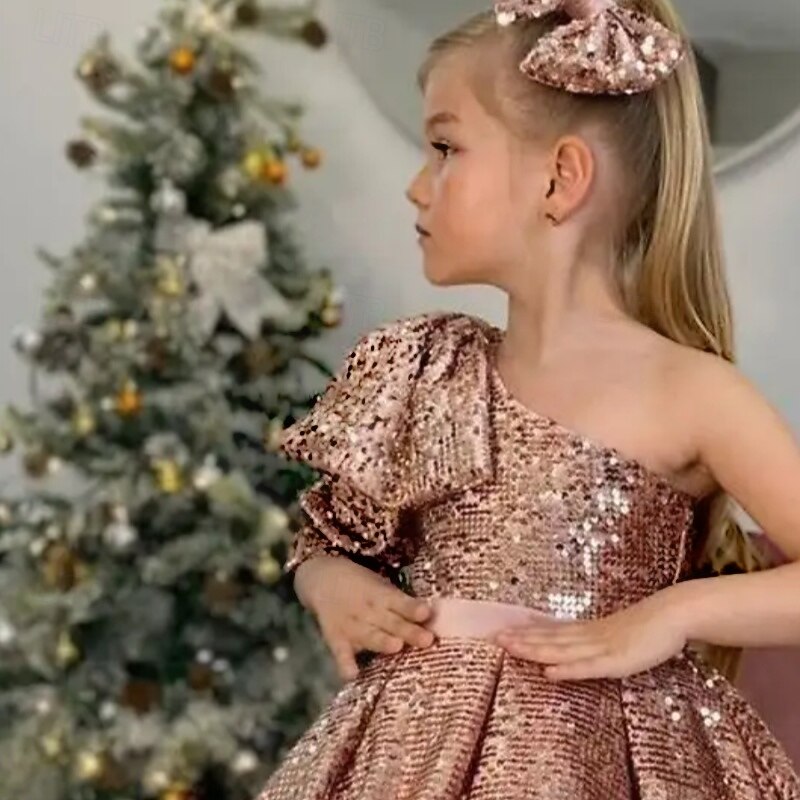 Kids Girls' Party Dress Solid Color Long Sleeve Performance Mesh Princess Sweet Mesh Mid-Calf Sheath Dress Tulle Dress Summer Spring Fall kids Pink Wine Navy Blue4