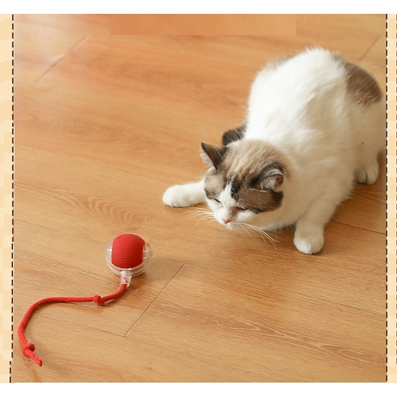 Ball Ball Launchers Interactive Toy with Rechargeable LED USB Charger Pet Exercise Pet Training for Cat Kitten Indoor Outdoor Pet Play4