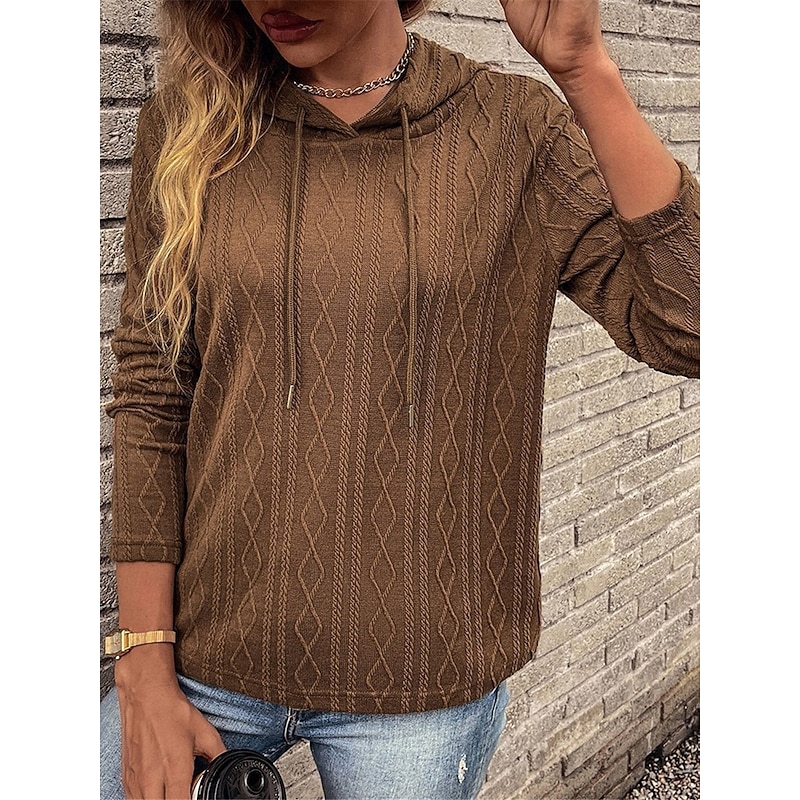 Women's Sweater Pullover Sweater Jumper Casual Soft Pure Color Ribbed Hooded Knitted Long Sleeve Regular Tops Knit Outdoor Daily Weekend Wine Brown Fall Winter3