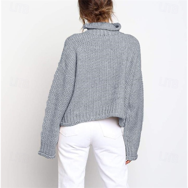 Women's Sweater Turtleneck Textured Knit Textured Fall Winter Going out Elegant Fashion Daily Long Sleeve Solid Color Orange Brown4