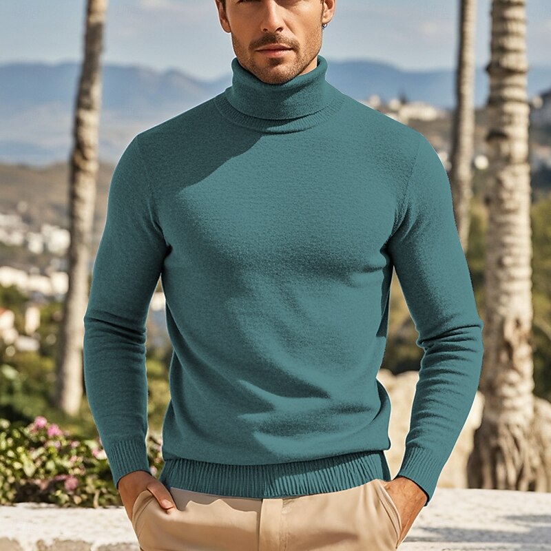 Men's Pullover Sweater Jumper Knit Sweater Ribbed Knit Regular Knitted Plain Turtleneck Fashion Casual Daily Wear Date Clothing Apparel Fall & Winter Camel Wine S M L4