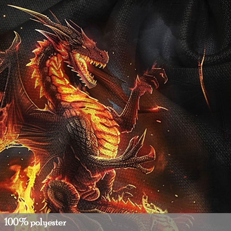 Men's Dragon Hoodie Hoodies Sweatshirt Fashion Cool Long Sleeve Hooded Vacation Sports Outdoor Going out Black Drawstring Fall Winter Designer3