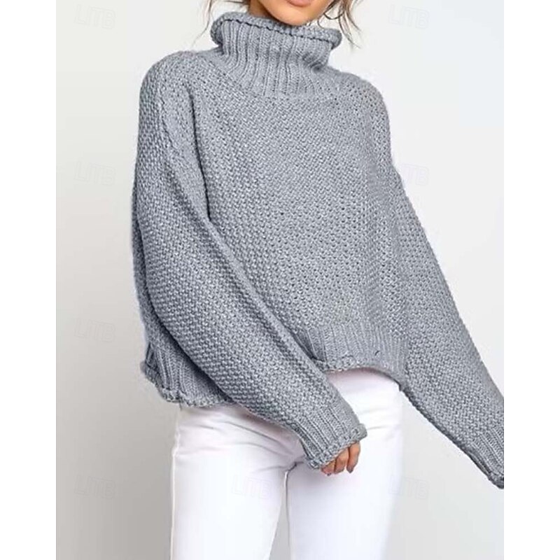 Women's Sweater Turtleneck Textured Knit Textured Fall Winter Going out Elegant Fashion Daily Long Sleeve Solid Color Orange Brown3