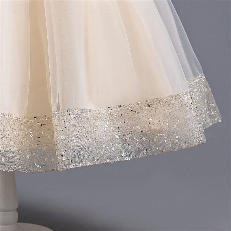 Kids Girls' Flower Girl Dress Party Dress Solid Color Sequin Sleeveless Performance Wedding Party Mesh Backless Patchwork Elegant Sweet Polyester Maxi Party Dress Swing Dress Tulle Dress Spring Fall4