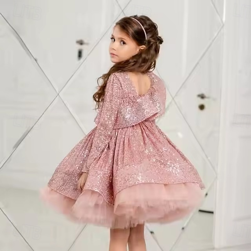 Kids Girls' Party Dress Solid Color Long Sleeve Performance Wedding Party Mesh Princess Sweet Mesh Mid-Calf Sheath Dress Tulle Dress Summer Spring Fall kids Pink4