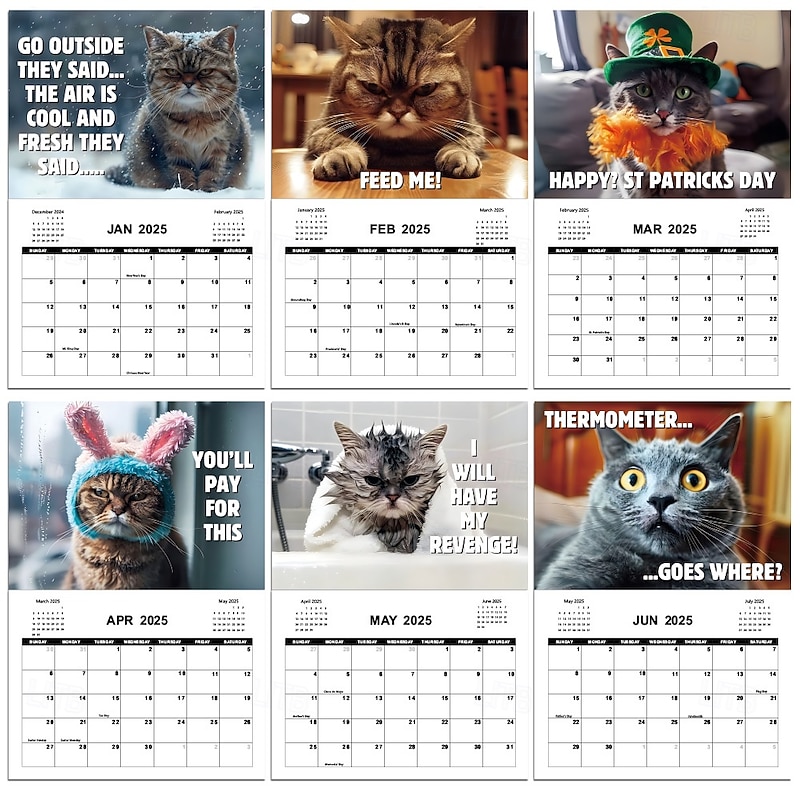 2025 Peed-Off Cats Calendar 2025 Calendar with Holidays Funny Cat Themed Gifts for Cat Lovers4