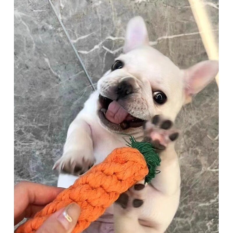 Ball Chew Toy Plush Toy Interactive Toy Ropes with Pet Exercise Releasing Pressure Pet Training Teething Rope Toy Teething Toy for Dog Indoor Outdoor Pet Play2