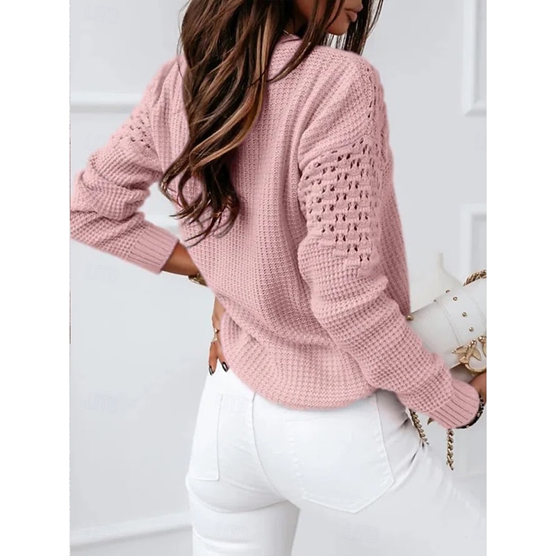 Women's Sweater Casual Soft Pure Color Ribbed Crew Neck Knitted Long Sleeve Regular Tops Knit Outdoor Daily Weekend White Pink Fall Winter2
